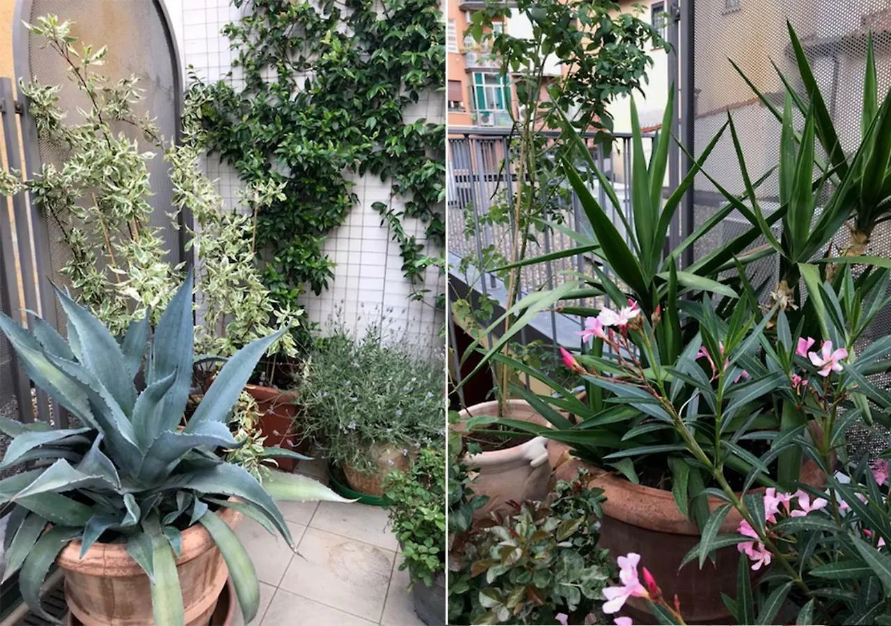The Jasmine Terrace Retreat Daire Bolonya