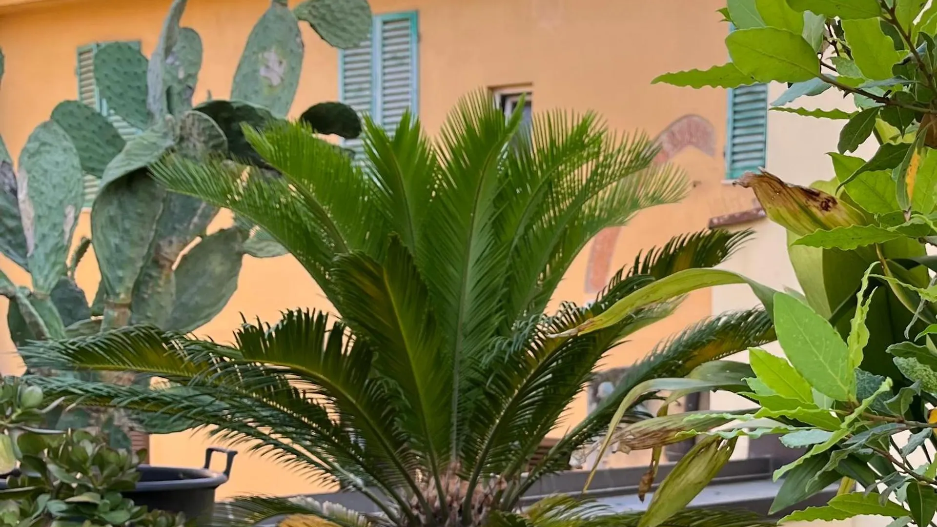 The Jasmine Terrace Retreat Apartment Bologna
