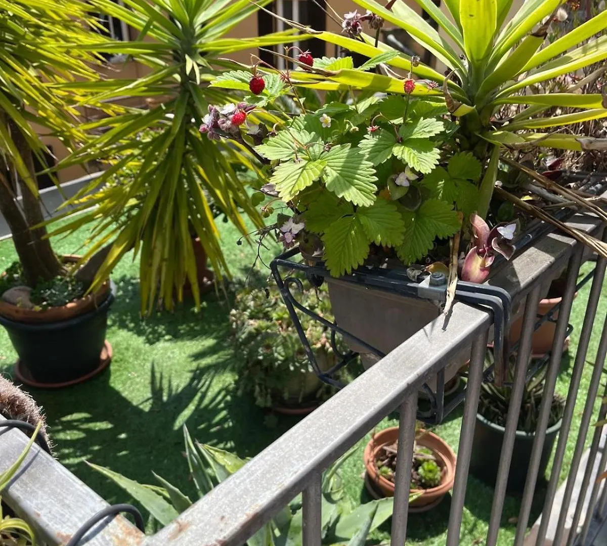The Jasmine Terrace Retreat Apartment Bologna 0*,  Italy