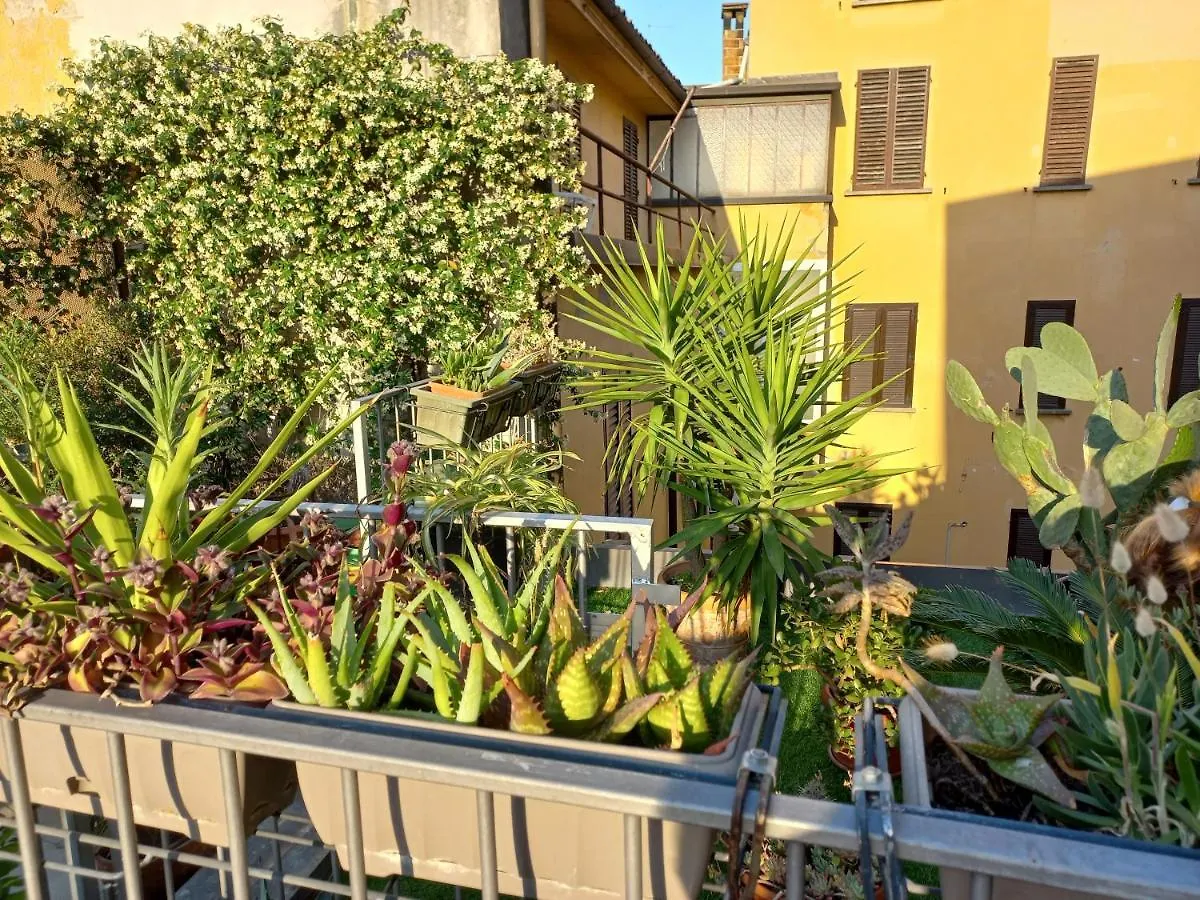 The Jasmine Terrace Retreat Apartment Bologna